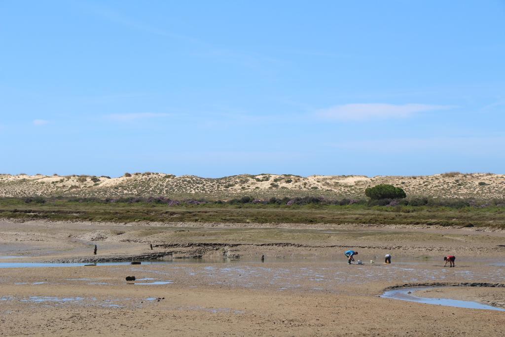 By The Beach Διαμέρισμα Almancil Εξωτερικό φωτογραφία